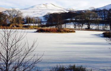 Doonans Cottage - Photo 22