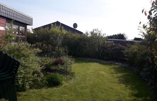 Büsumer blaue Krabbe - Foto 29