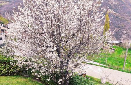 Cascina Bruna - Terrazza panoramica e giardino a Bobbio, Val Trebbia - Foto 13