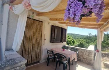 Apartmani Milenko Lubenice - Foto 21