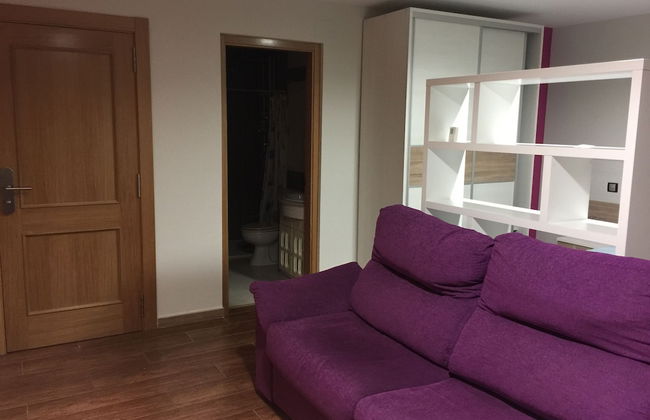 Aparthotel Ciudad de Aranda - Foto 15