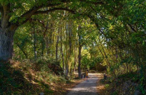 Casa Rural La Rosquilla - Foto 36
