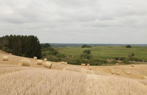 Große Ferienwohnung in Peetzig am See - Foto 71