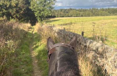 High Shilford Barn - Foto 36