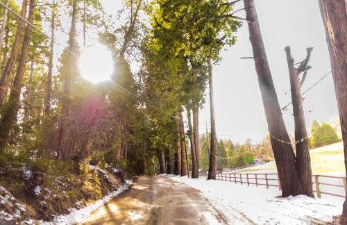 BunkHouse 1960's Camp Vibe with Timeless Wet Bar - Foto 71