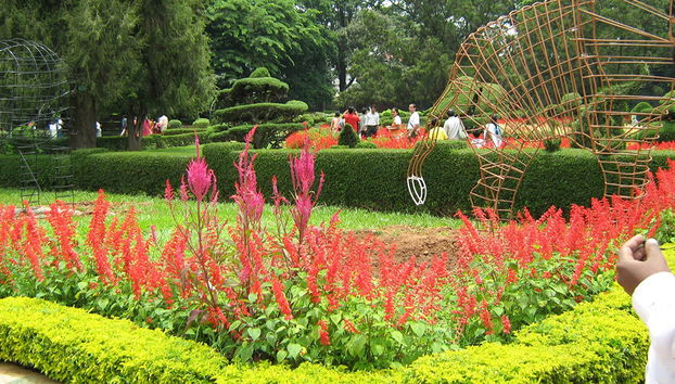 O Jardim Lal Bagh - Foto 2