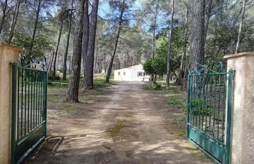 La maison du rouquet - Foto 7