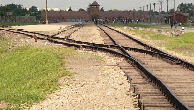 Auschwitz-Birkenau Private Day Trip - Foto 3