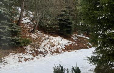 Appartement Les Menuires - 4 personnes à 20 m des pistes - Foto 15