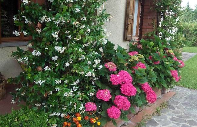 B&B da Ronald...a Pian del Papa - Photo 36