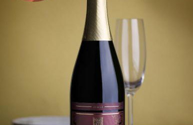 STRUČIĆ WINERY ESTATE - Foto 20