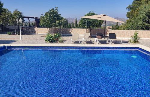 Finca Vista El Montanes - Photo 69