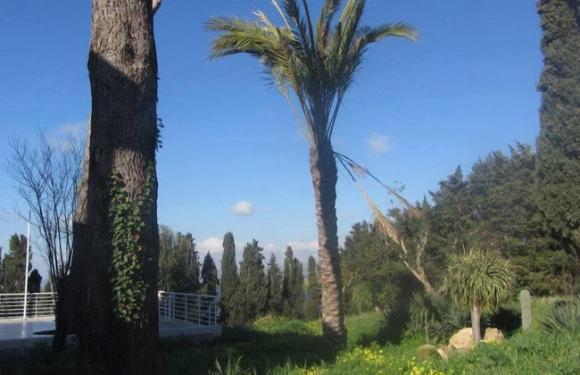 Agriturismo Campo Allegro - Foto 36