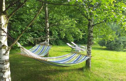 Przytulne Studio Borówkowy Zagajnik - Foto 22