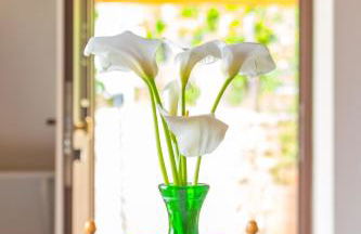 Starhost - La Casella seaview garden terrace and parking - Foto 11