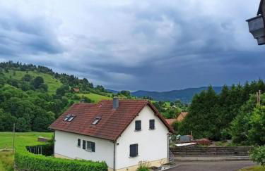 Gite Luxury à Soultzeren - Foto 23