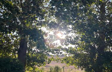 Brandenburg Oase - Foto 8