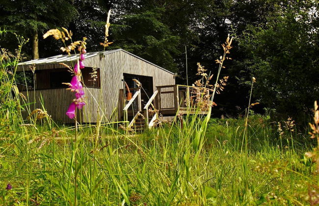 Etape en forêt - Foto 25
