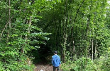 Casa Angiolino, angolo di pace vicino all'Orrido di Gea - Photo 10