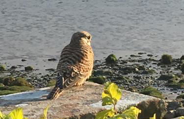 The Waterside Rooms - Foto 26