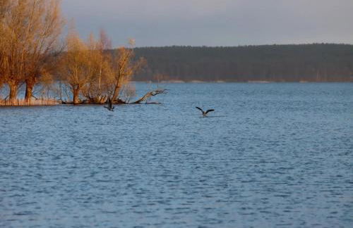 Ferienhaus Kiebitz, Plau am See - Foto 36