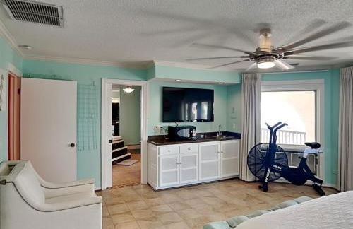 Lion On The Beach - Photo 9