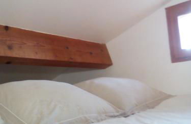 Sous les pins - Photo 6