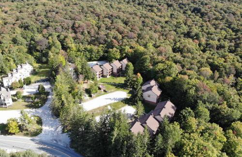 BearHug AC, Pool, Hot Tub, Tennis, Close to Resort - Foto 21