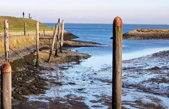 Cottage Near Het Bokkegat Nature Reserve - Foto 32