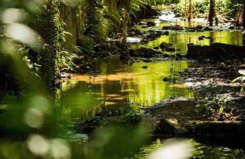 Acolhida Temporada - Foto 48