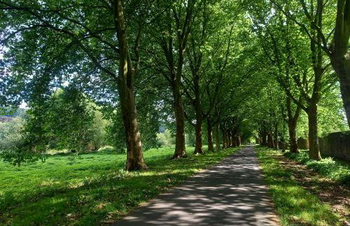 Ferienwohnung Feld und Wiese - Foto 24