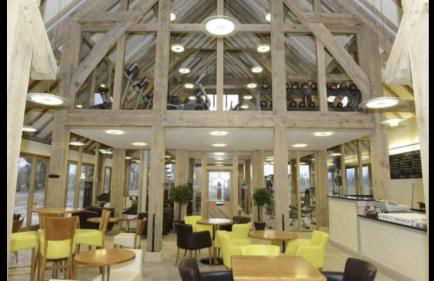 Bumblebee Lodge - Foto 14