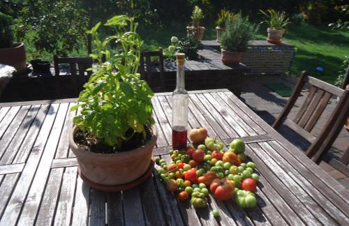 Apartment in ruhiger Lage am Waldrand by Interhome - Photo 1