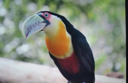 Cabana no Itaimbezinho - Foto 28