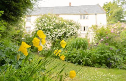 Lovely property in the heart of Somerset - Foto 43