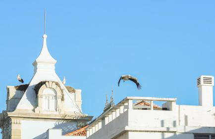 Faro - Modern Design Apartment in Walled Old Town - Foto 20