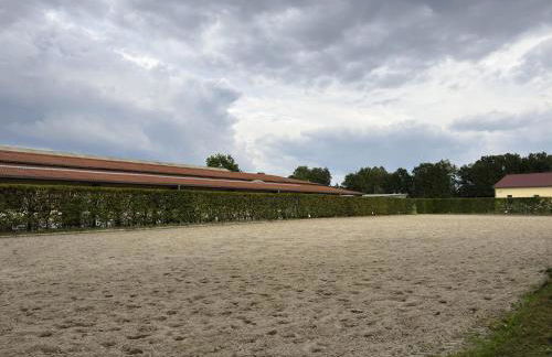 Cozy Holiday Home on a Horse Farm in the Luneburg Heath - Foto 91
