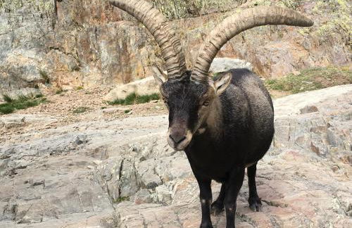 Ermita de Gredos - Foto 55