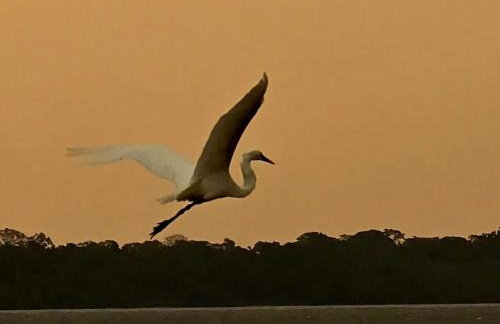Pousada Bosque dos Aruãs - Foto 18