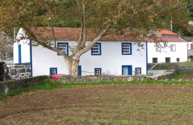 Casas dos Vimes - Foto 14