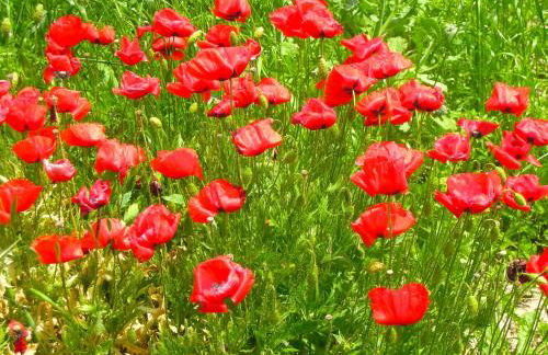 Casa della Casa - Foto 27