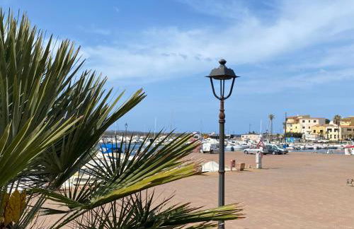 Concas Apartaments - Foto 14