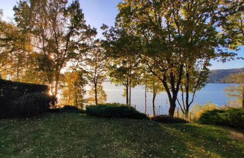 Żywiecka Przystań - Foto 19