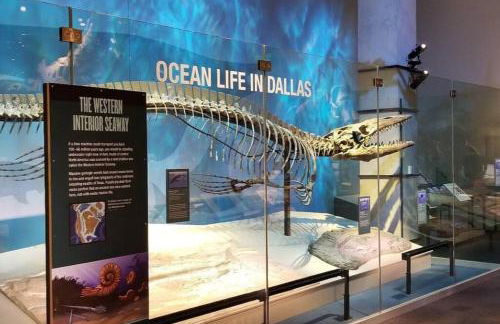 Healing Haven King Bed Suite - Foto 28