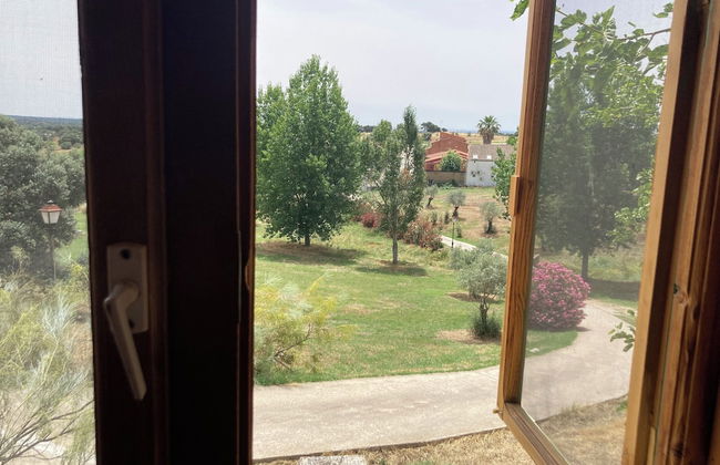 Hamlet's Friends - Foto 38