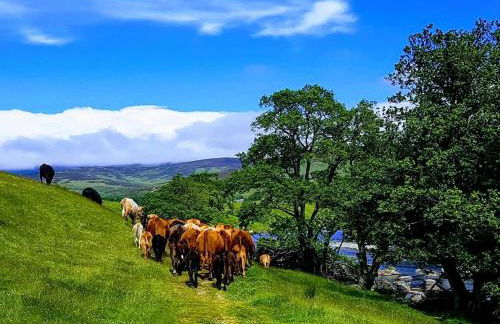 1 Bed in Edzell oc-ca335 - Photo 12