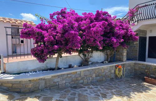 Casa Fortuna - primo piano in villa con vista panoramica a Castellabate - Foto 40