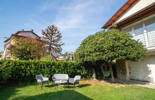 Helianthus - Photo 15