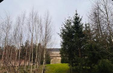 Domek Natura Rybno - Foto 15