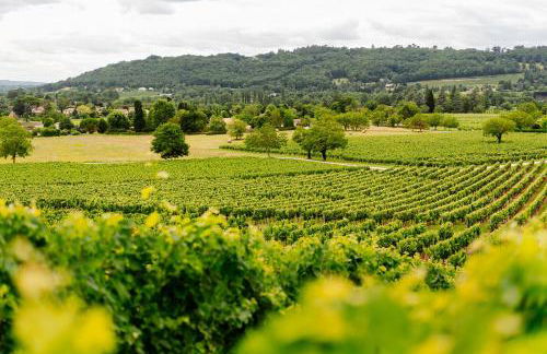 Chateau Camp del Saltre Prayssac - Foto 63